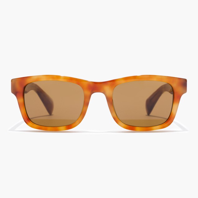Irving Sunglasses : Men's Sunglasses | J.Crew